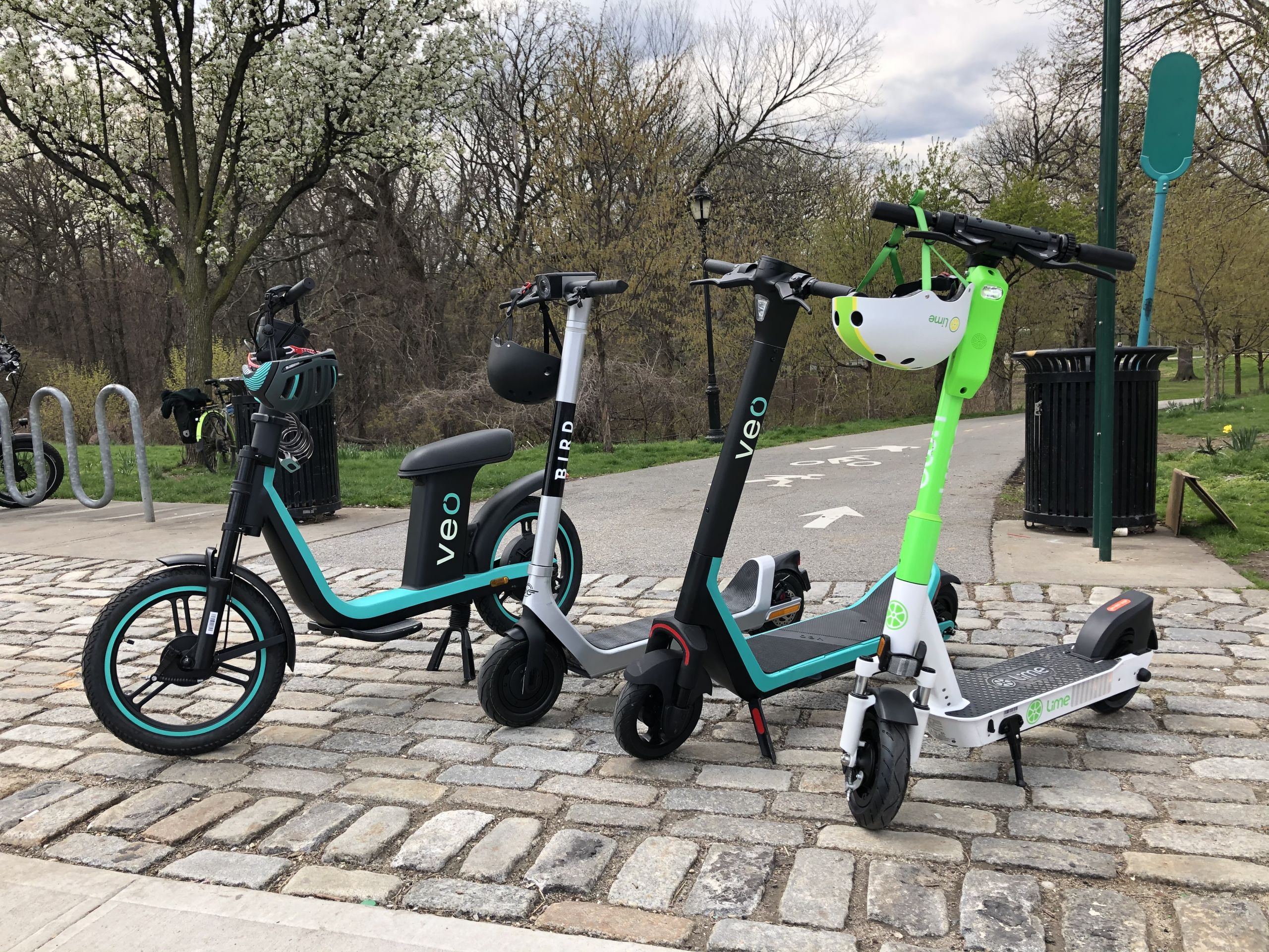 These Are the EScooter Companies Coming to The Bronx